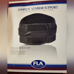 Black Lumbar Support With Stabilizing Posterior Panel